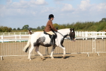 SBM_03121