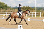 SBM_000343