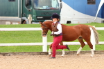 SBM_10195