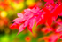 20161031-3K8A9002-2