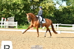 Cls 23 FEI Grand Prix portfolio