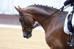 SBM_000804