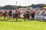 240824-Race 7-Sir Busker-9242