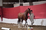 BPP_2321