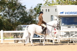 SBM_13152