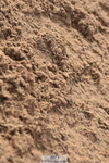 231015A-150520-08885