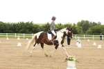 SBM_007141