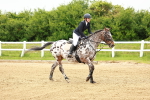 SBM_000687