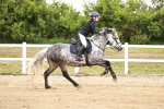 SBM_008775
