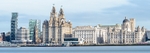 Royal Liver Building (1)