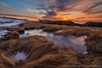 Coastal Creations