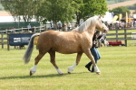SBM_02131