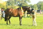 SBM_56739