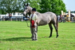 SBM_03310