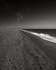 Blakeney Point (01)