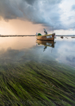 ab130 Eel grass Bembridge