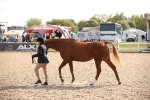 SBM_07077