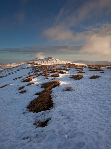 The hardy golden grasses at the top of Carraghan break through the snow and ice and catch the early morning sunlight.