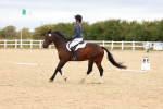 SBM_001339