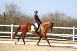 Class 4: Novice 5 2024 portfolio