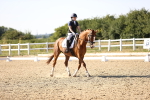 SBM_007503