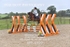 BPP_0769