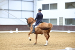 SBM_008954