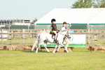 SBM_11036