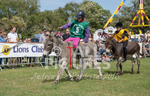 Donkey Derby_2016-21
