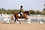 SBM_01651