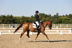 SBM_006870