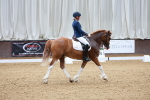 SBM_000768