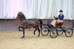 SBM_000657