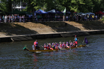 THE YORK ROTARY DRAGON BOAT CHALLENGE 2026 - 130 of 426