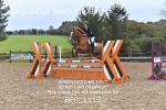 BPP_1119