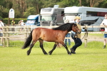 SBM_00459