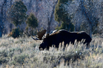 3HPhotography_Grand_Teton_OCT2025_00393