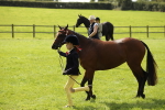 SBM_65587
