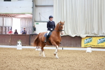 SBM_000925