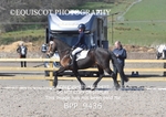 BPP_9436