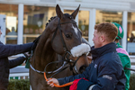 221124-Race 5-Kilbarry Hill-8599