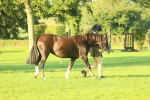 SBM_56772