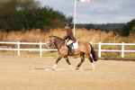 SBM_009384