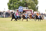 SBM_16452