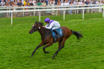 170623-Race 5-Twilight Romance-0787