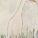 Runner duck
