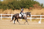 SBM_016553
