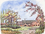 Autumn at Hall Farm