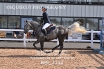BPP_2132