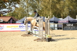 SBM_49547